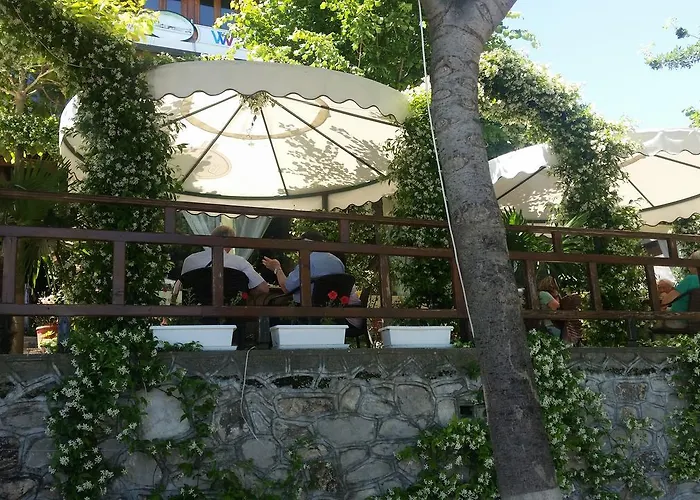 Vataksi Berdic e Siperme